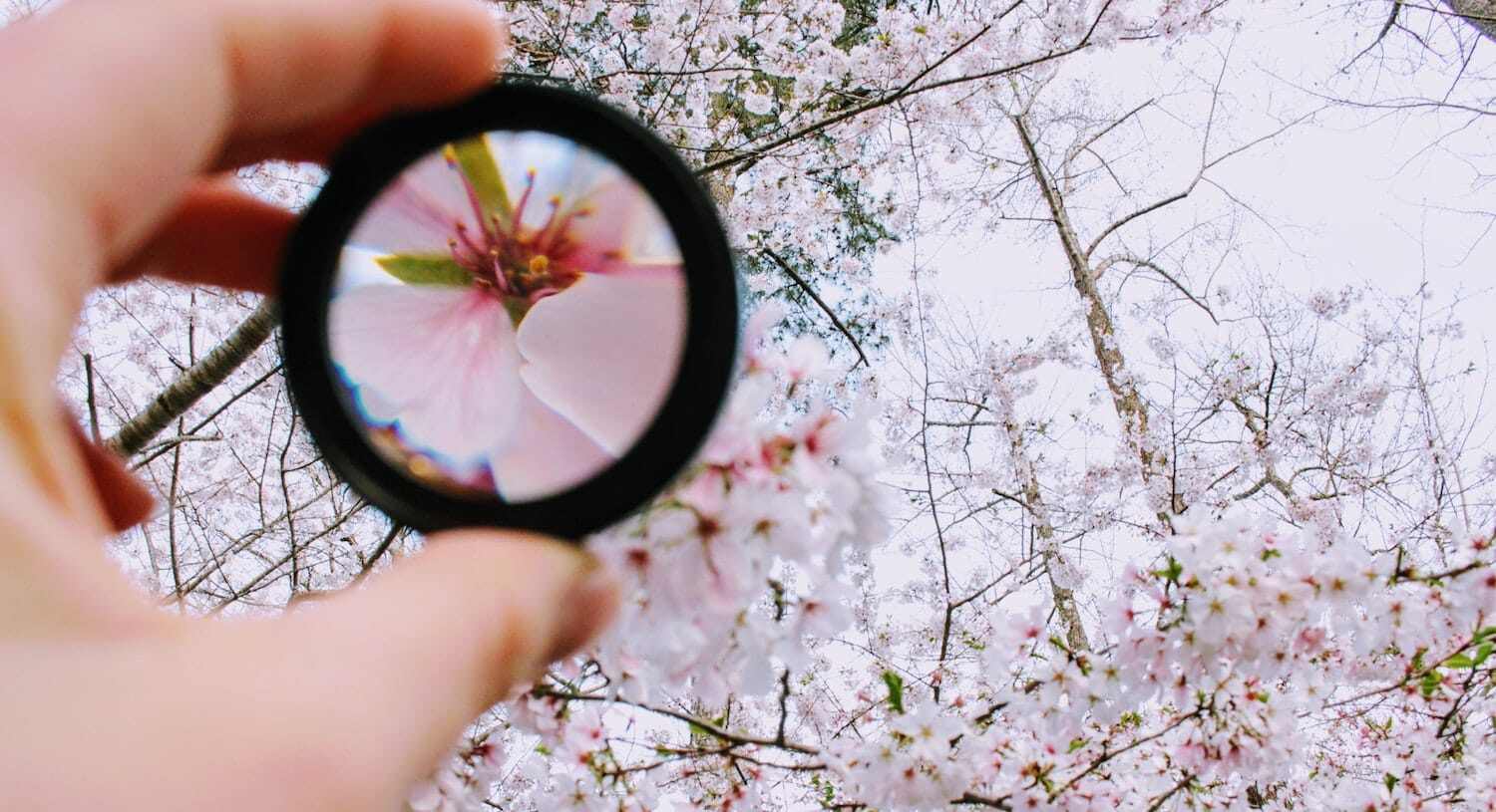 Leading with Empathy - focus